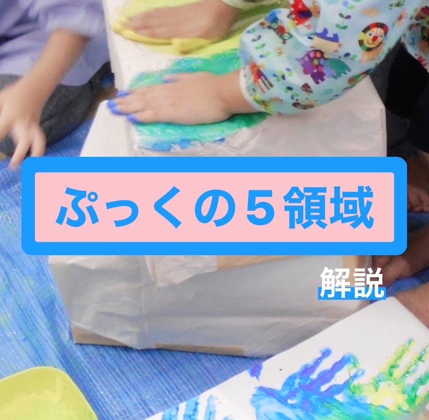 5領域の説明